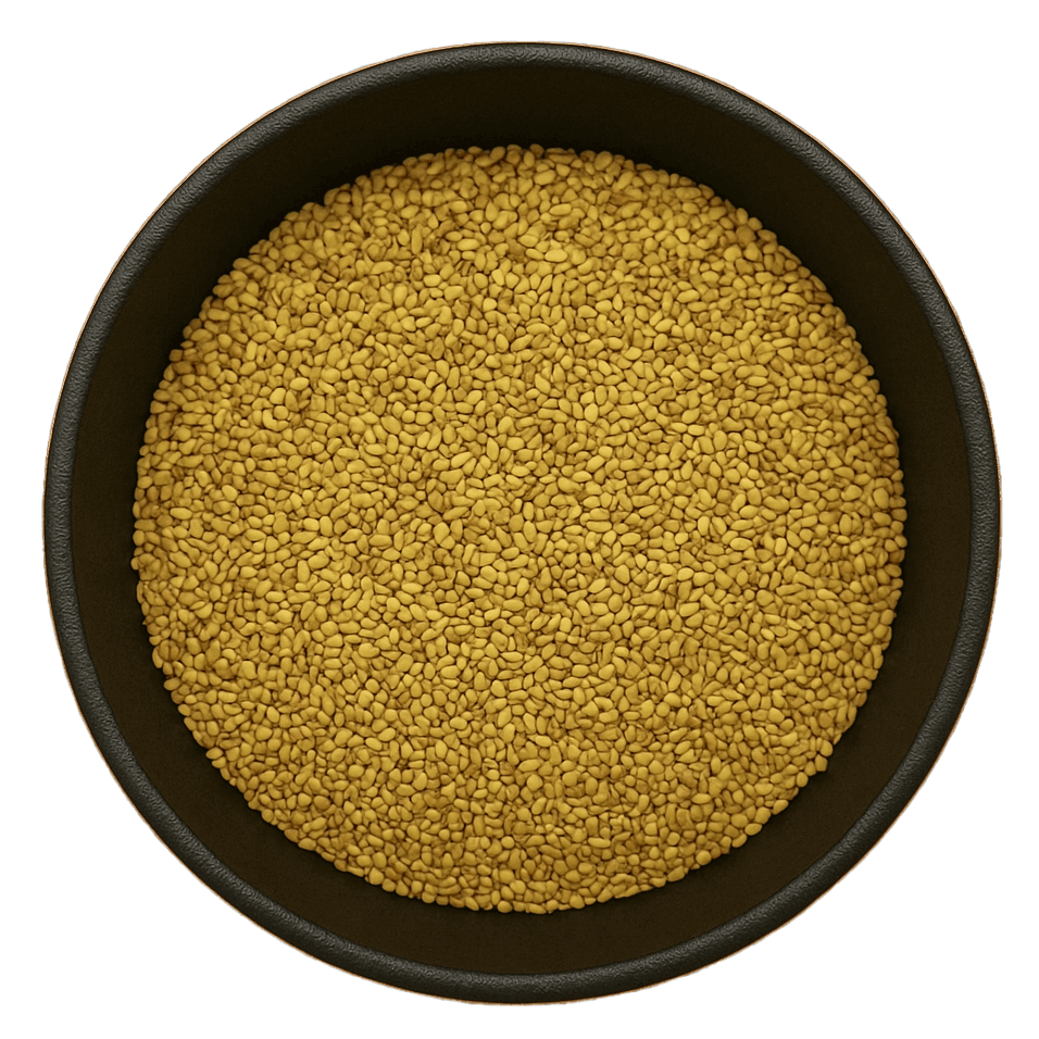 (Background Removed) (Background Removed)