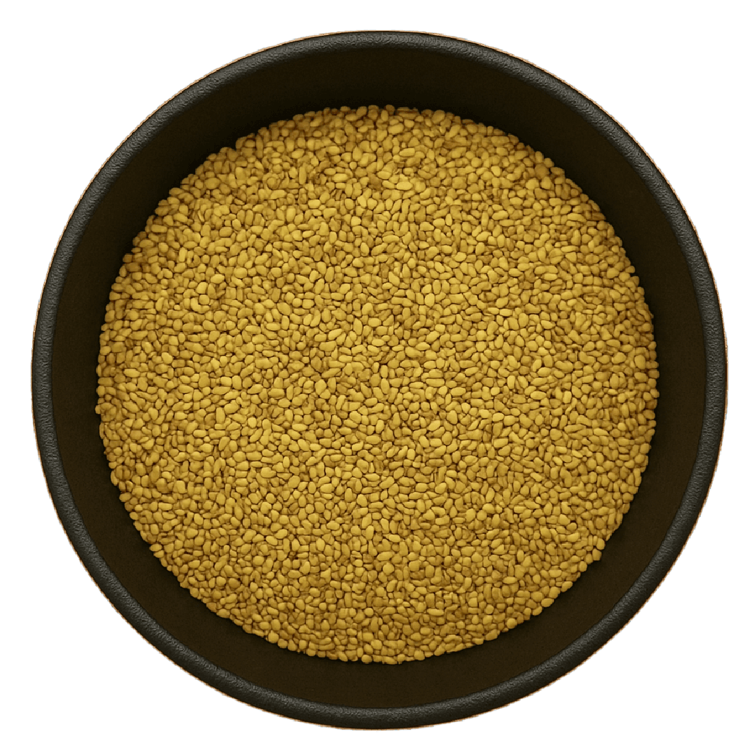 Alfalfa Seed Whole (Medicago Sativa)