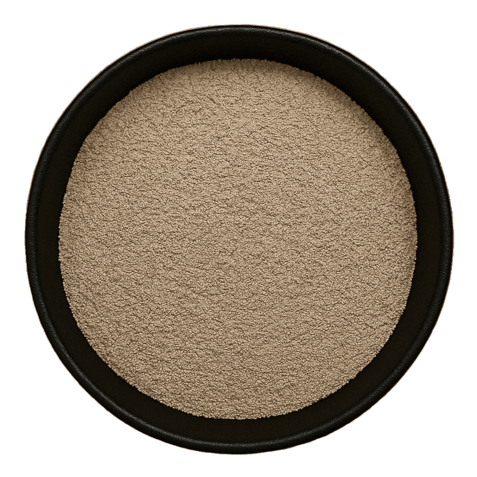 (Background Removed) (Background Removed)