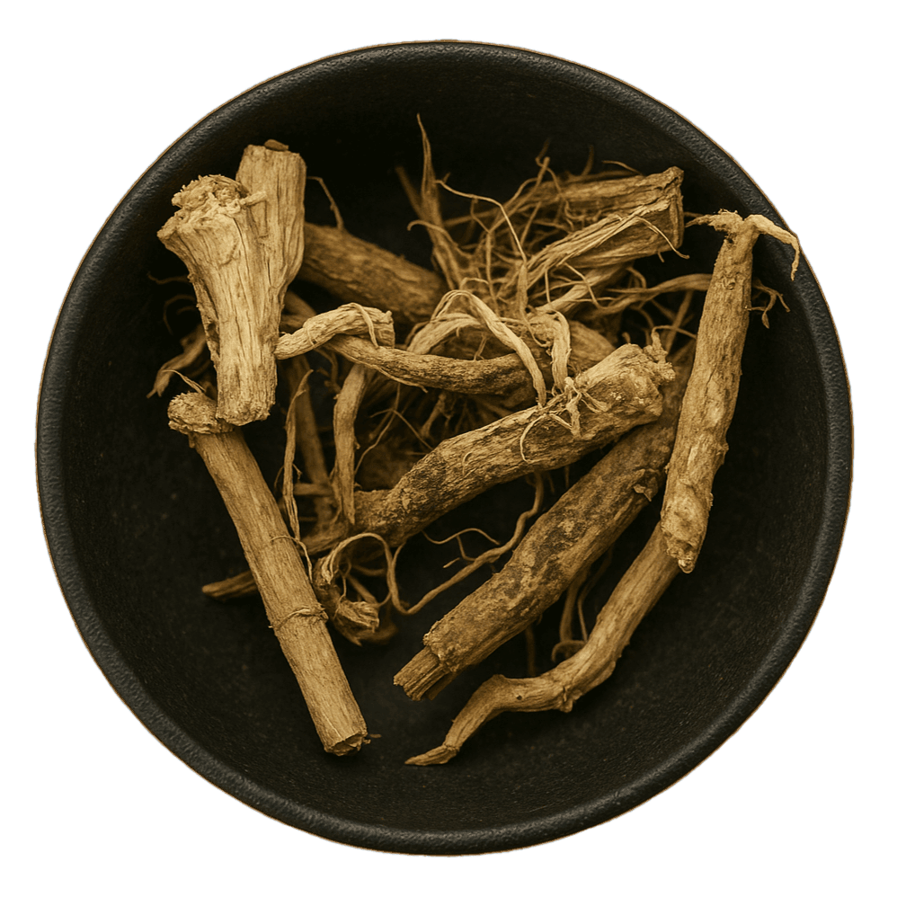 (Background Removed) (Background Removed)