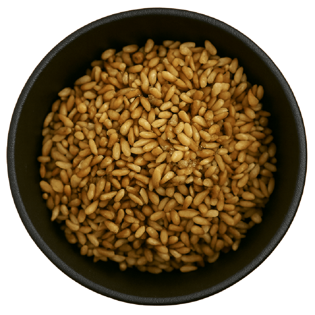 Arborvitae Seed Whole (Platycladus Orientalis)