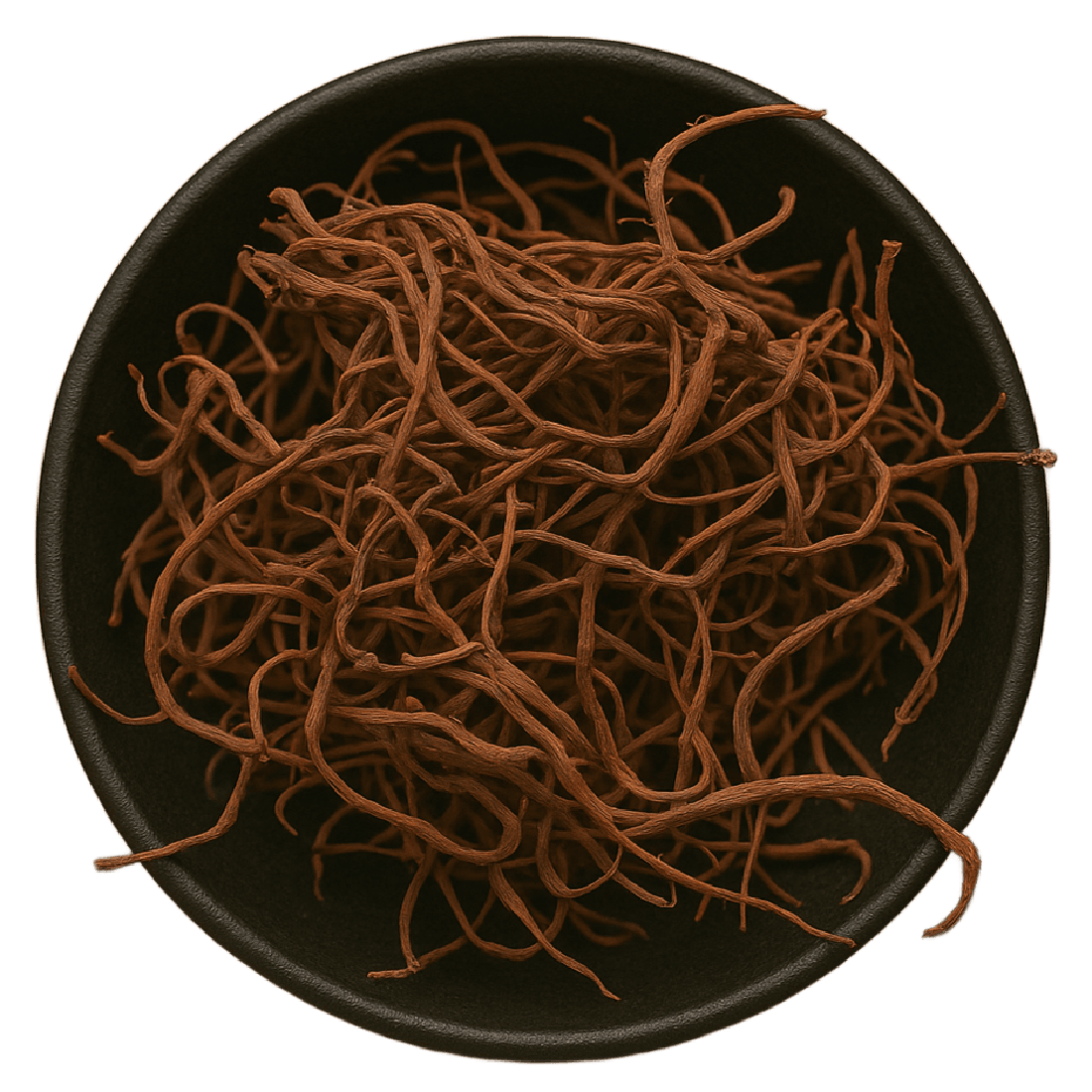 Aster Root Whole (Aster Tataricus)