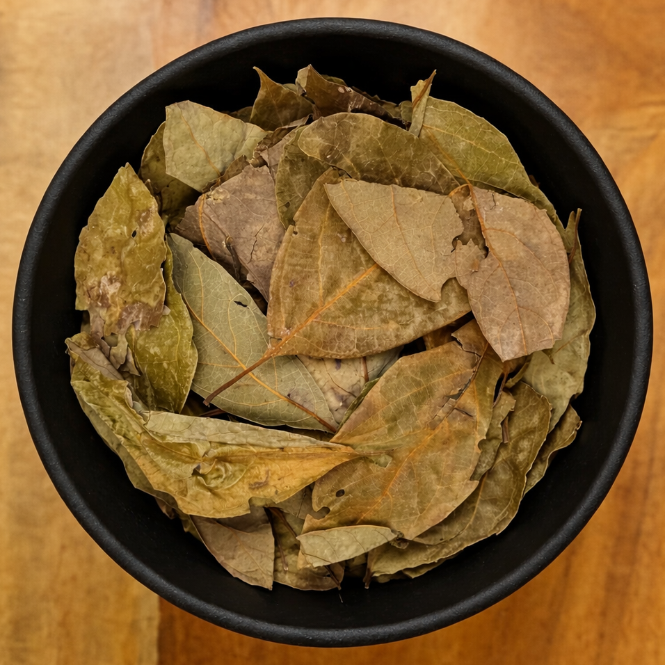 Avocado Leaves Whole (Persea Americana)