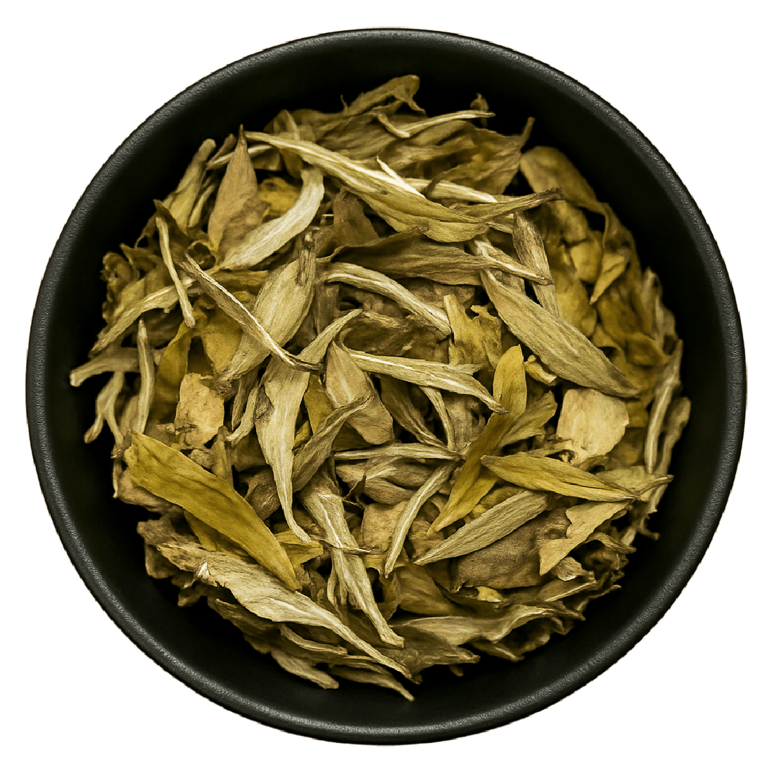 Bai Mu Dan White Tea (Camellia Sinensis)