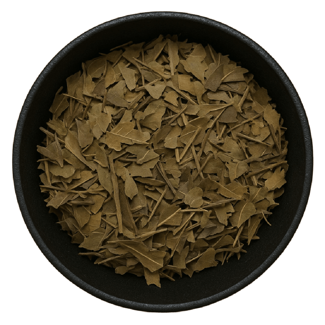 Bayberry Leaf Cut (Myrica Cerifera)