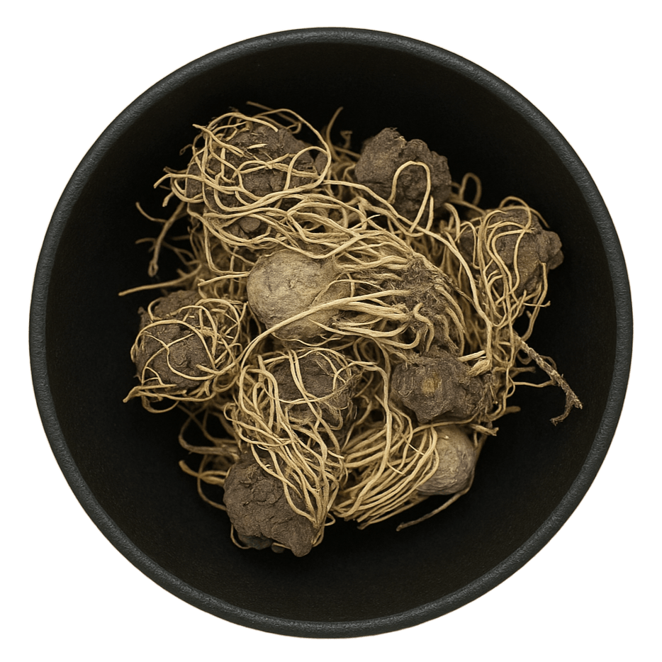 (Background Removed)