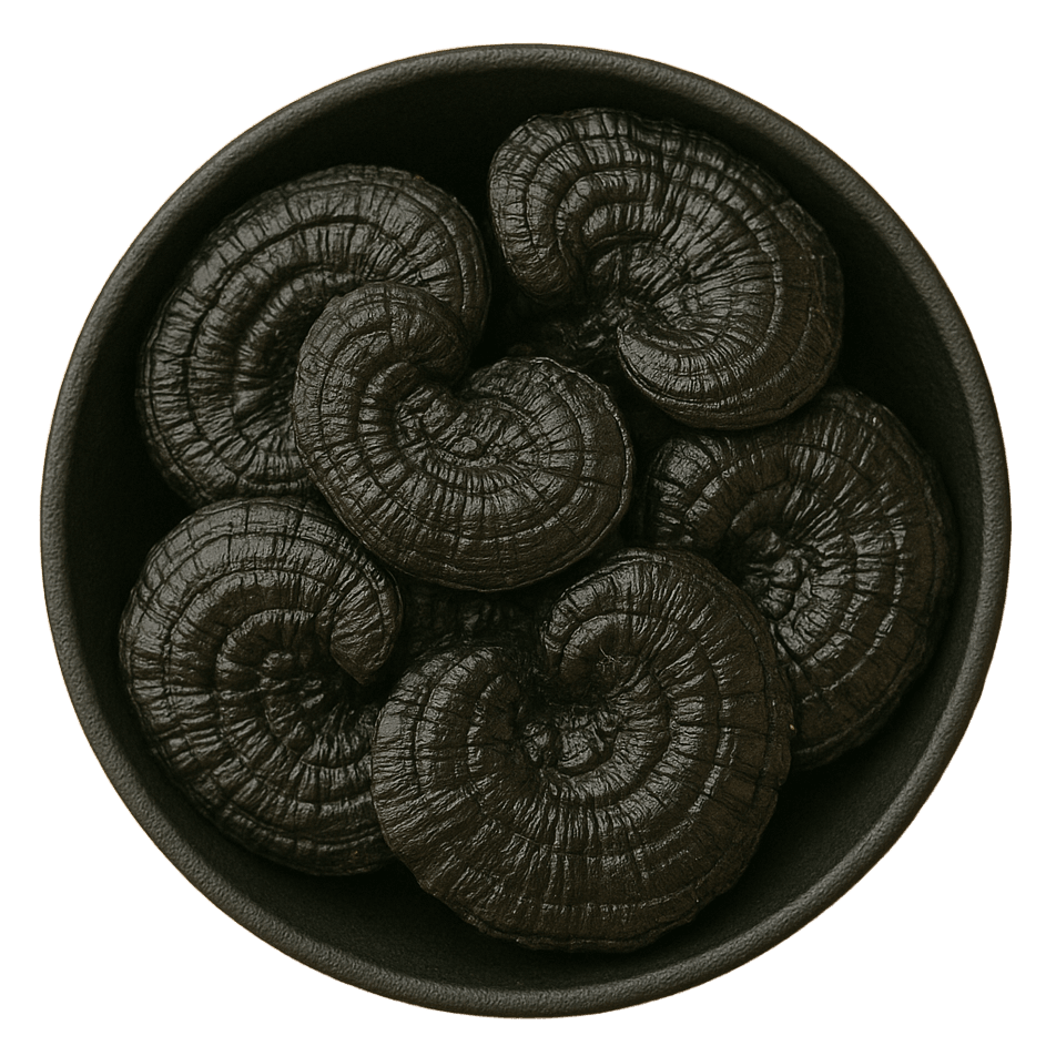 (Background Removed)