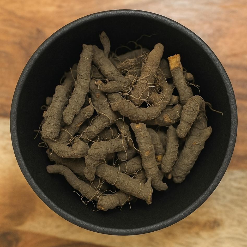 Bloodroot Whole (Sanguinaria Canadensis)
