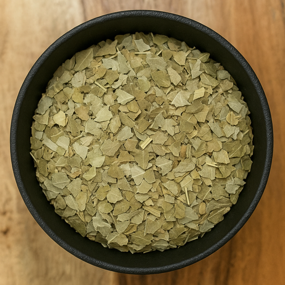 Boldo Leaf Cut (Peumus Boldo)