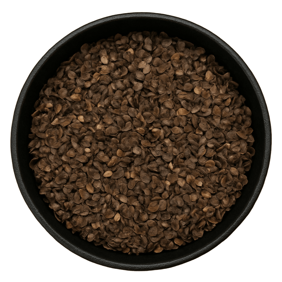 (Background Removed)