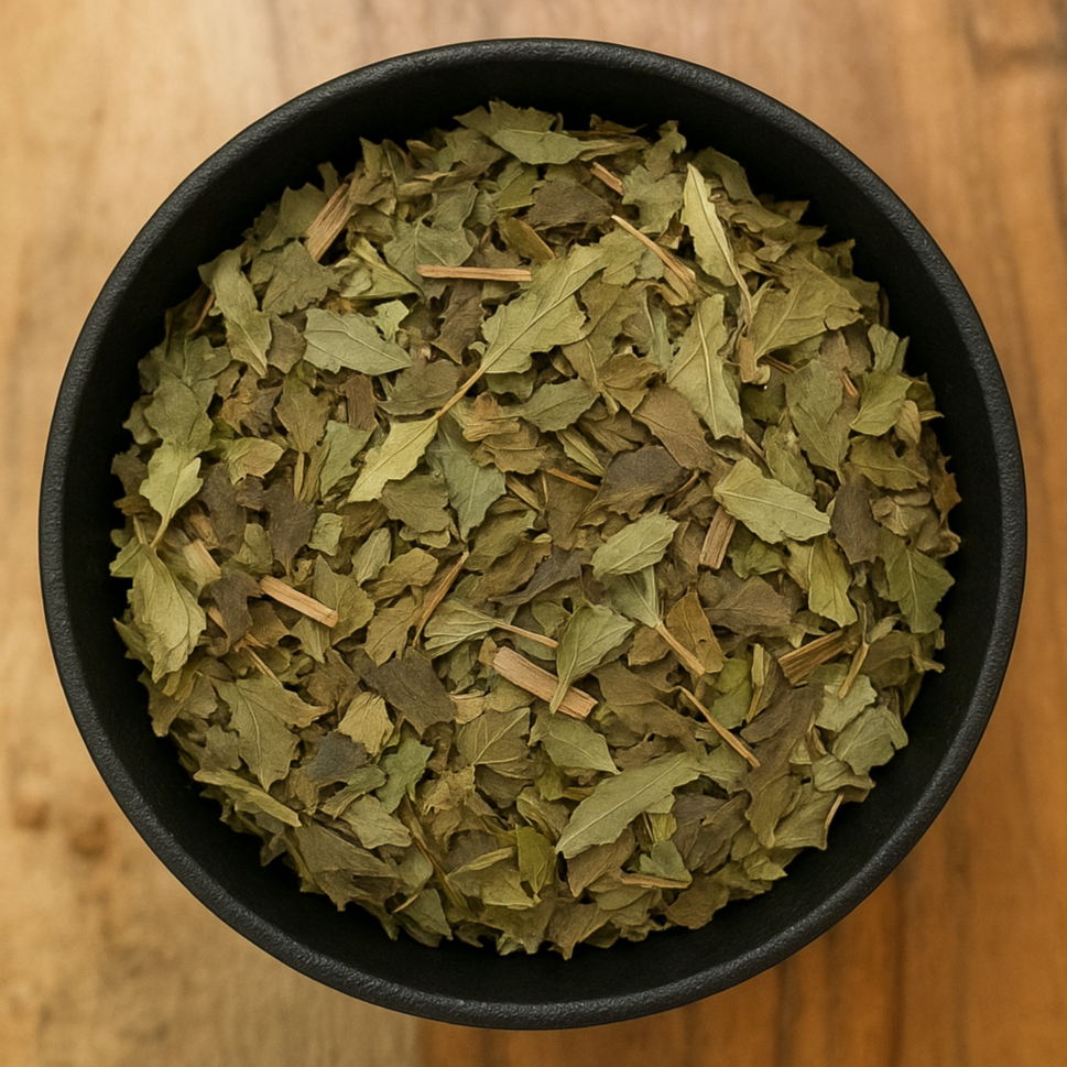 Bugleweed Herb Cut (Lycopus Lucidus)