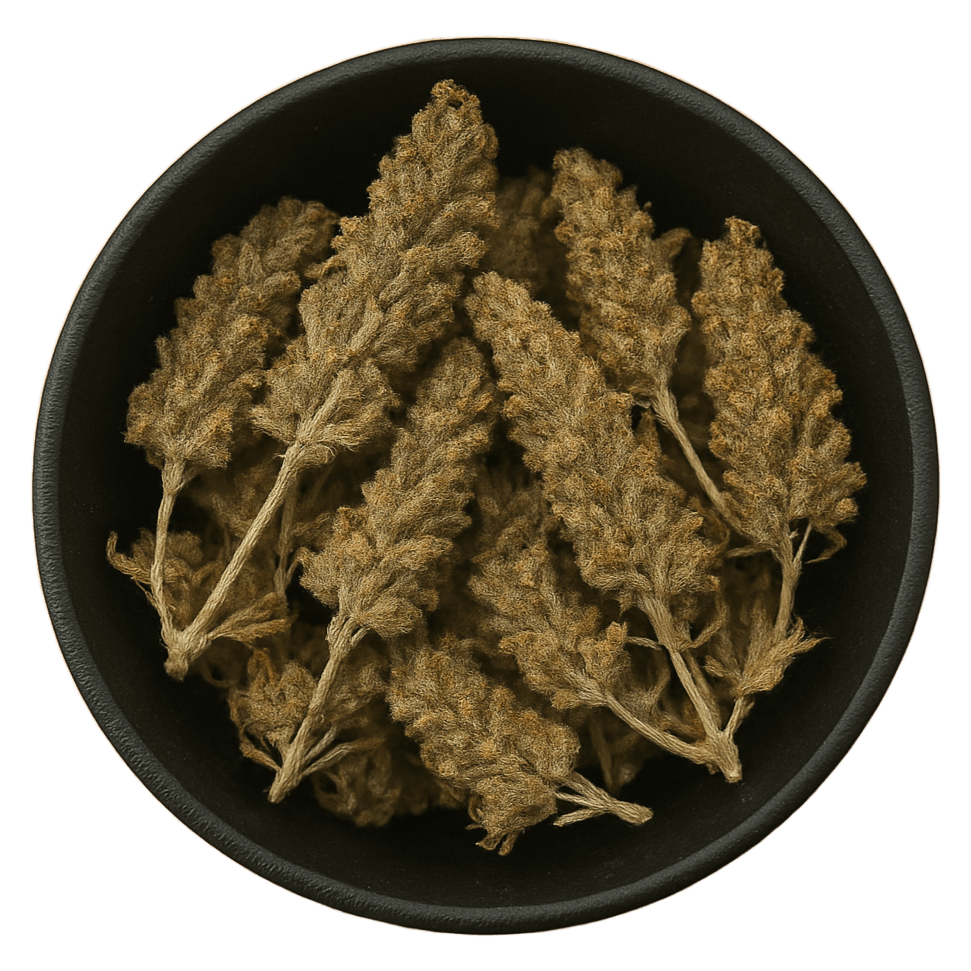 (Background Removed)