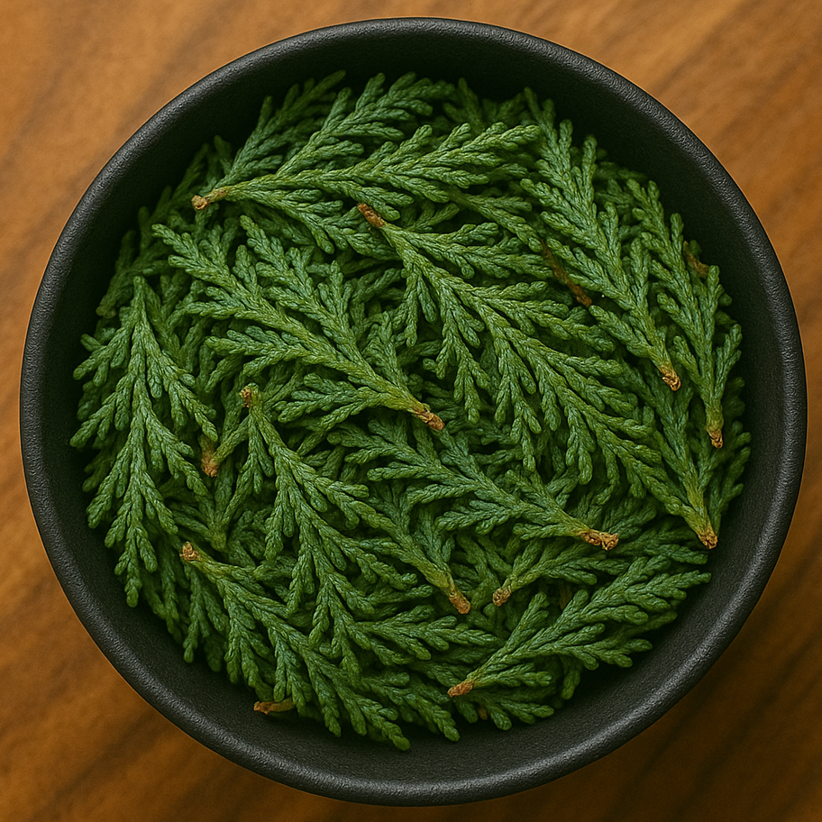 Cedar Leaves & Branchlets Whole (Cedrus Deodara)