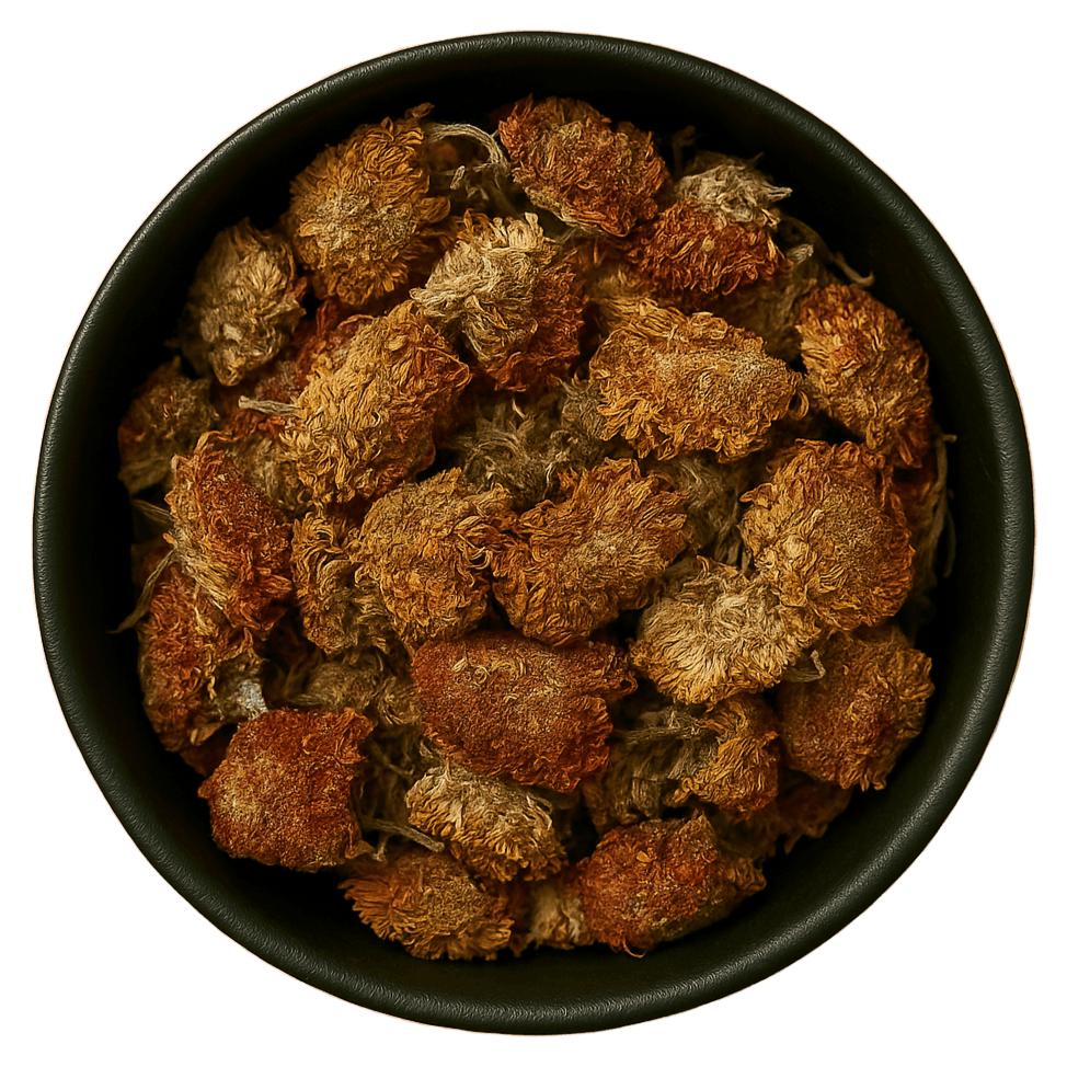 (Background Removed)