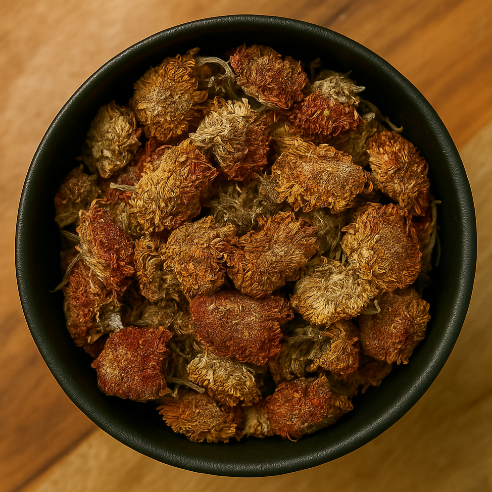 Celosia Flower Whole (Celosia Cristata)