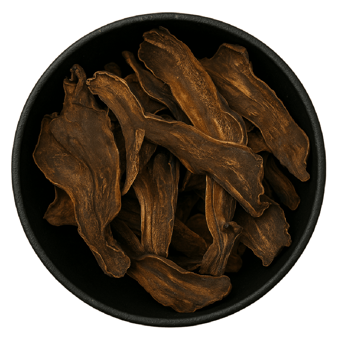 Chain Fern Rhizome Pieces (Cibotium Barometz)