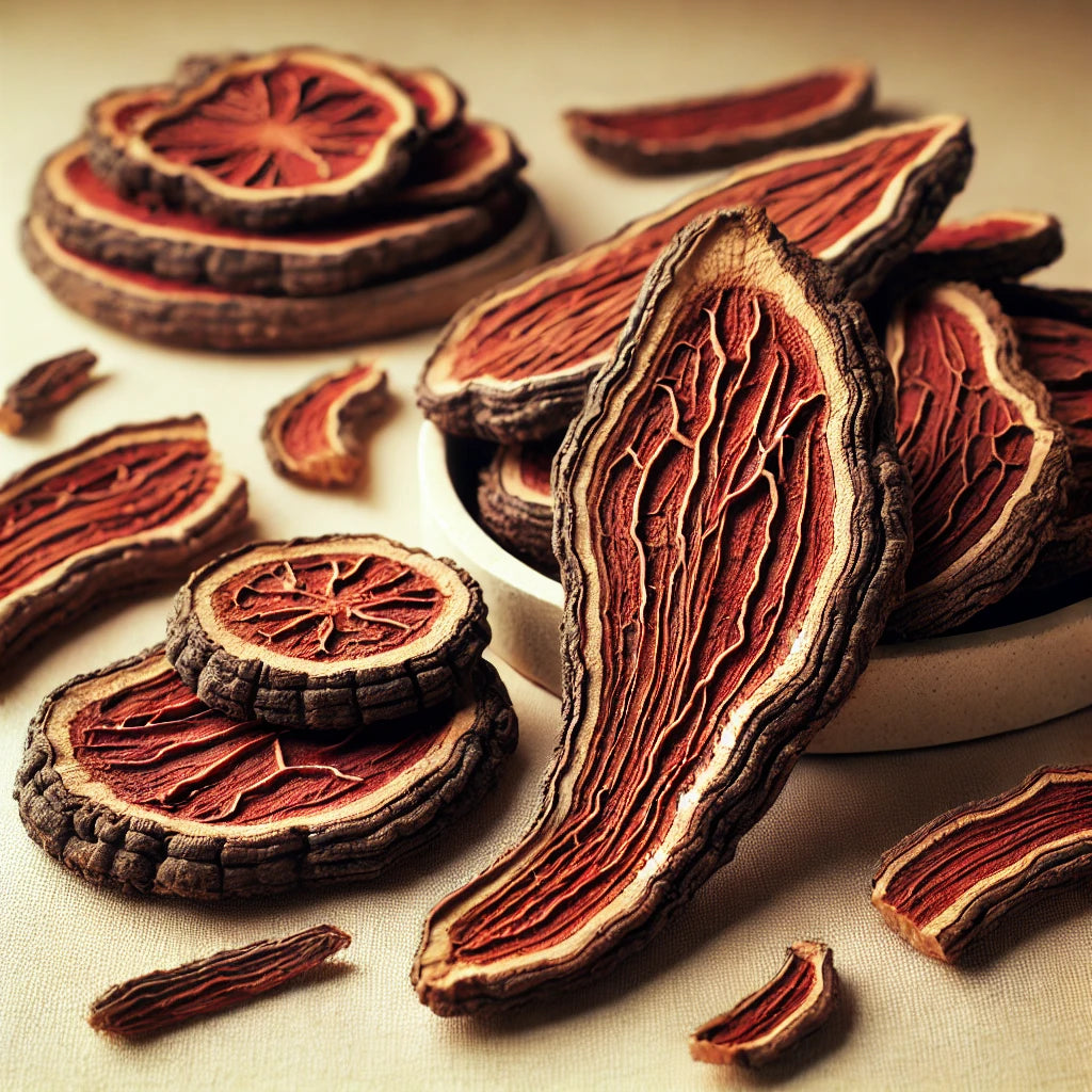 Chain Fern Rhizome Pieces (Cibotium Barometz)