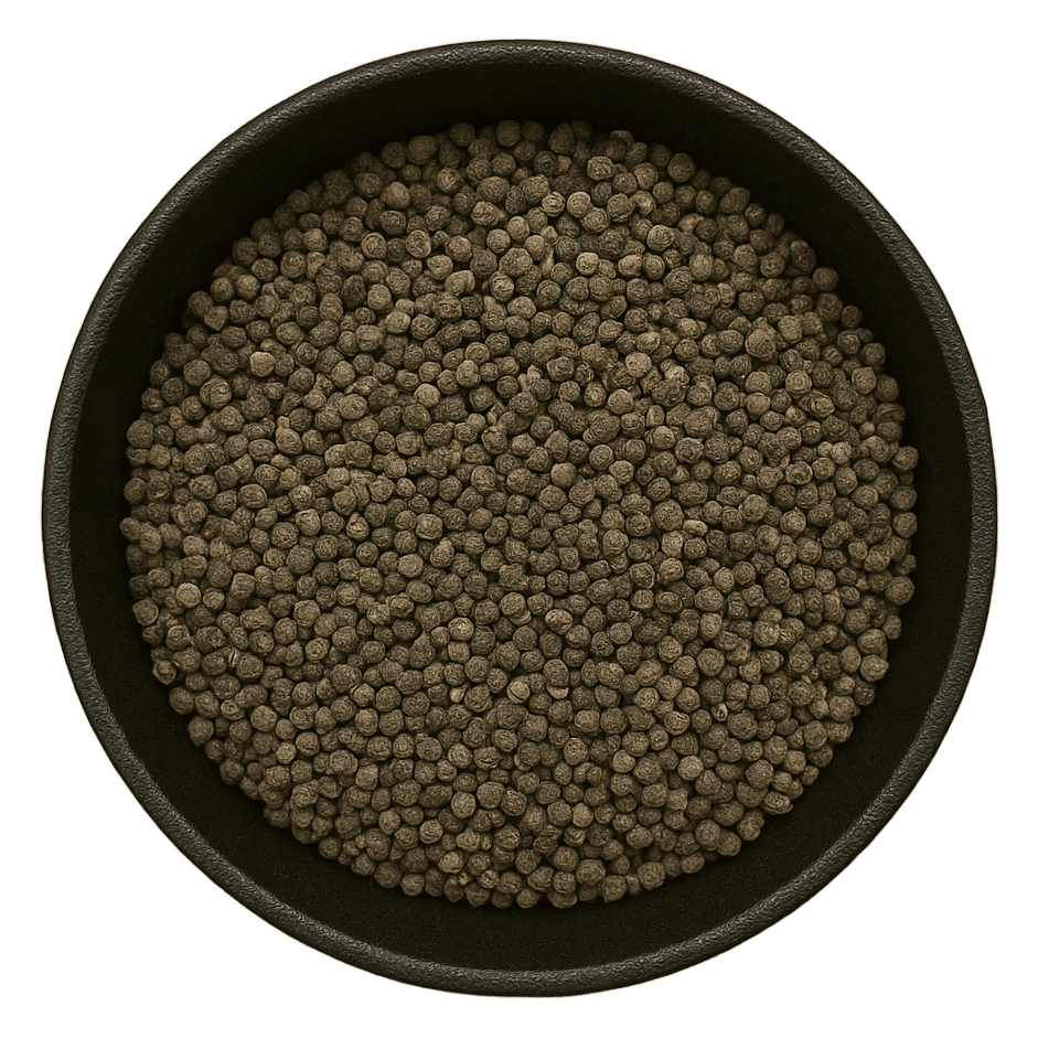 (Background Removed)