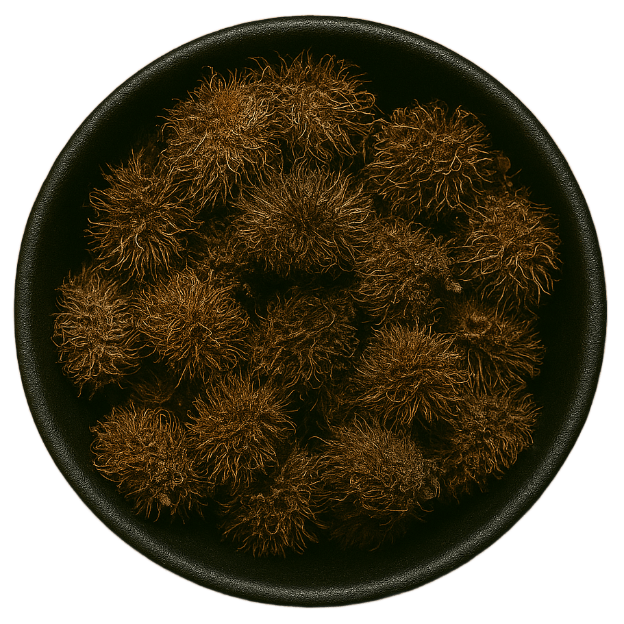 (Background Removed)