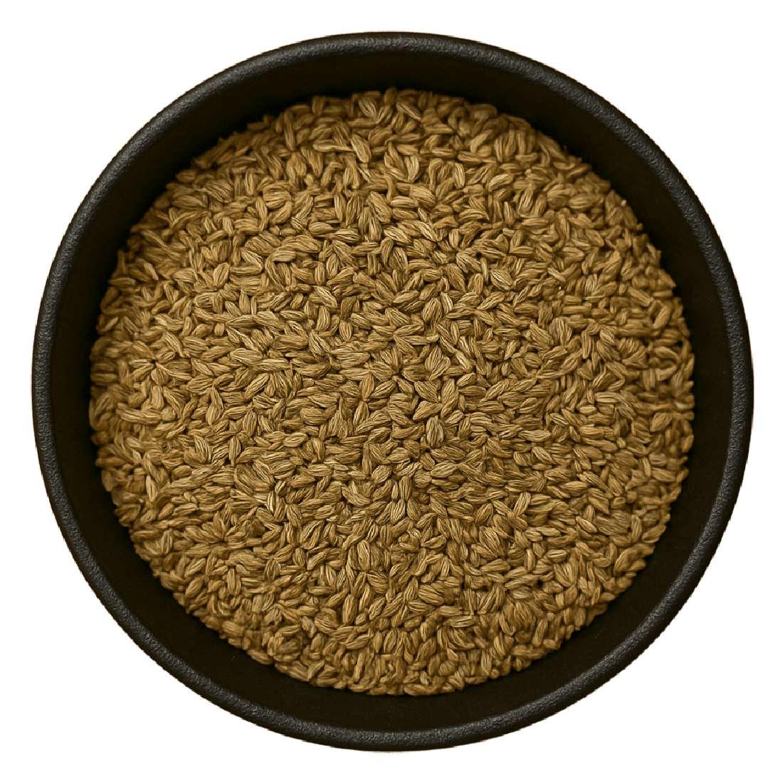 Cnidium Seed Whole (Cnidium Monnieri)