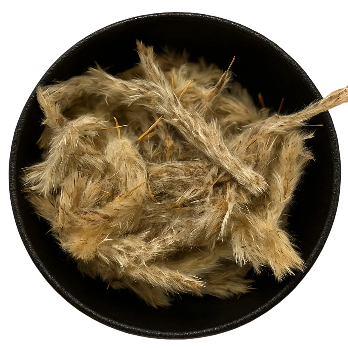 Cogongrass Flower Whole (Imperata Cylindrica)