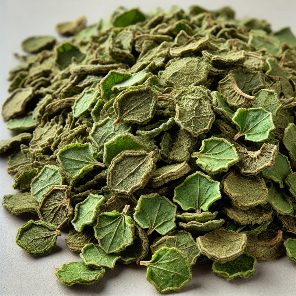 Common Duckweed (Spirodela Polyrhiza)