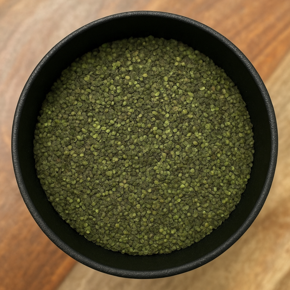 Common Duckweed (Spirodela Polyrhiza)