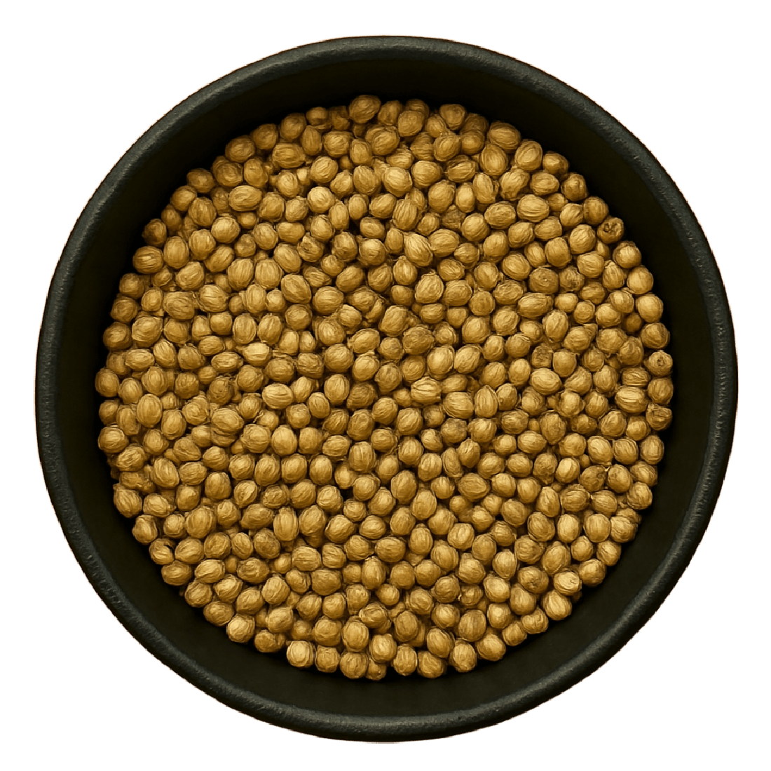 Coriander Seed Whole (Coriandrum Sativum)