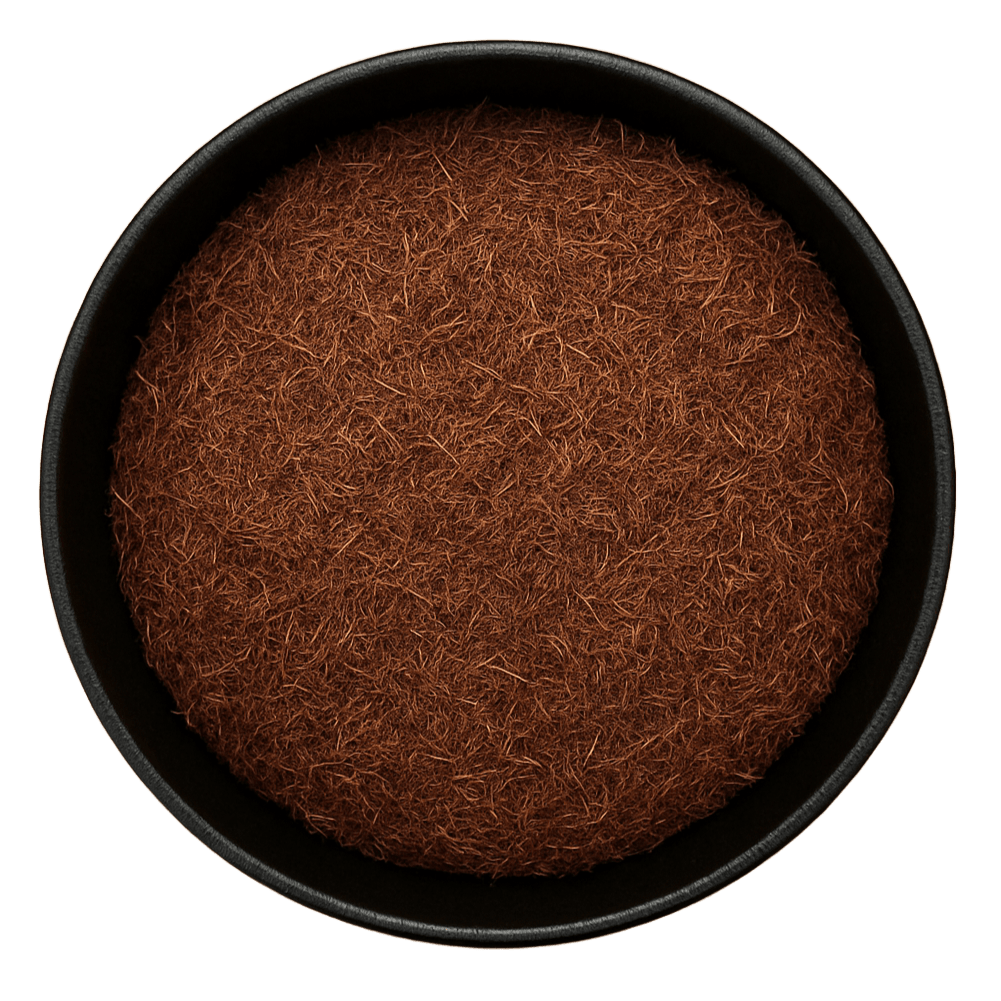 (Background Removed)