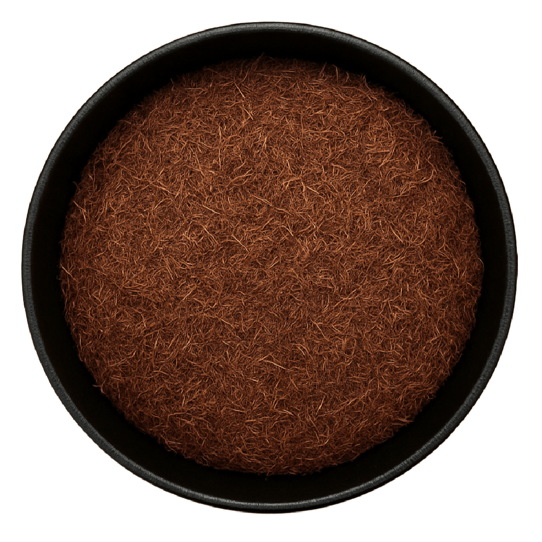 Cornsilk Cut (Zea Mays)