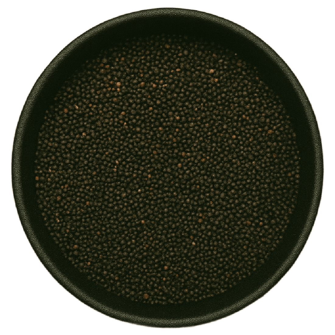 Cowherb Seed Whole (Vaccaria Hispanica)