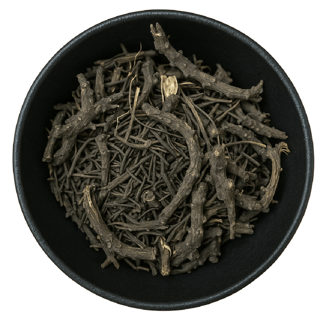 Culver's Root Whole (Veronicastrum Virginicum)