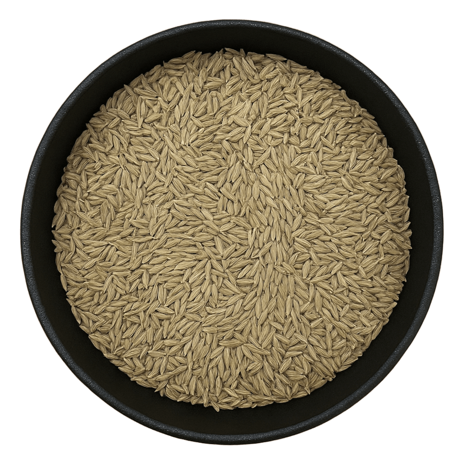 (Background Removed)