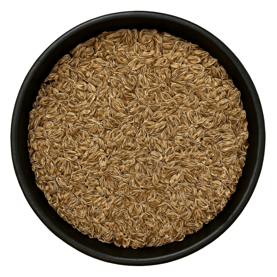 (Background Removed)