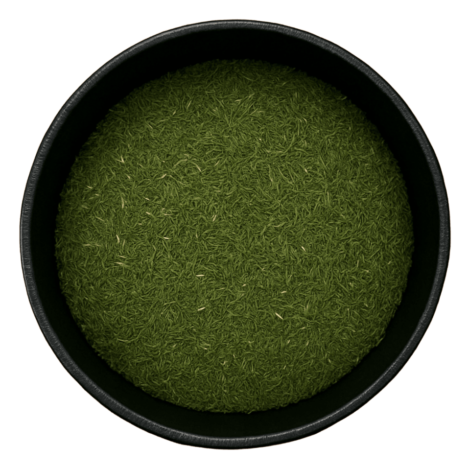 (Background Removed)