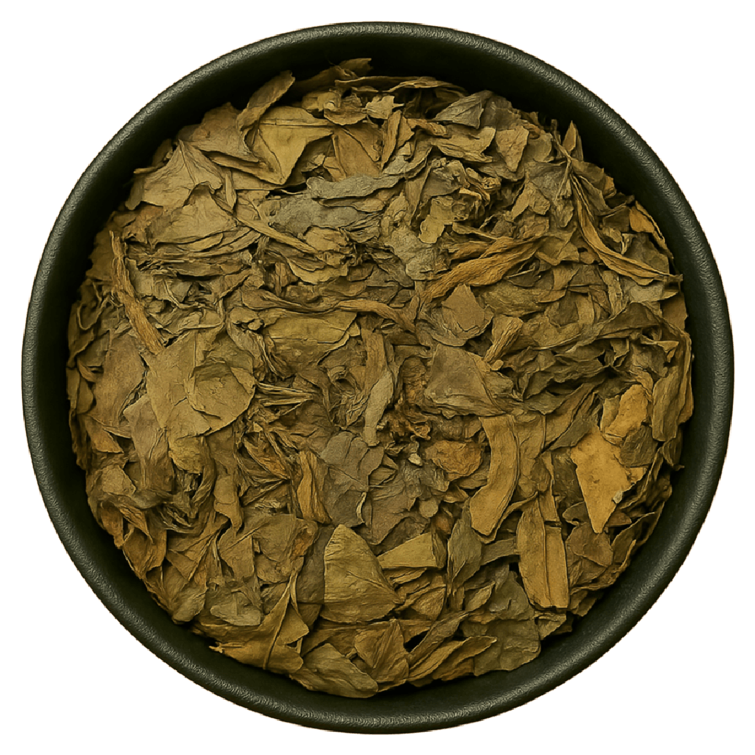 Dragon's Tongue Leaf Whole (Sauropus Spatulifolius)