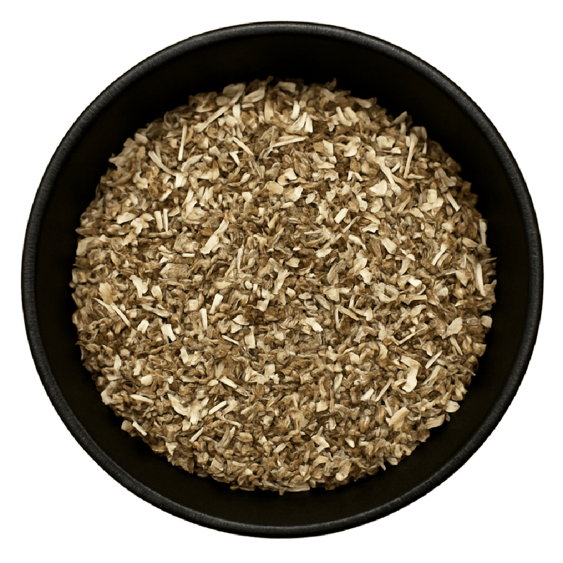 Echinacea Purpurea Leaf Cut (Echinacea Purpurea)