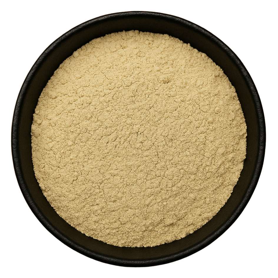 (Background Removed)