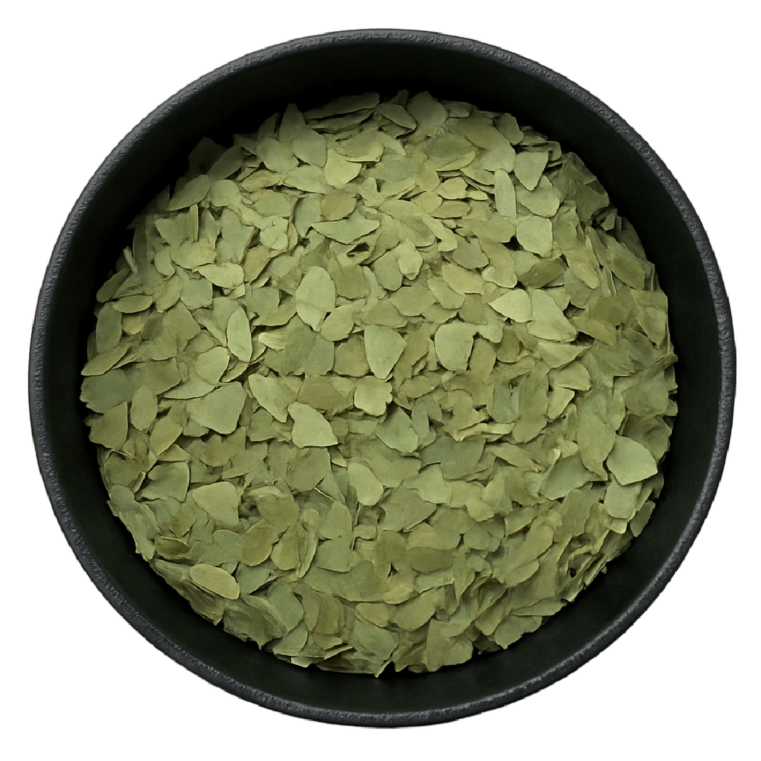 Eucalyptus Leaf Cut (Eucalyptus Globulus)