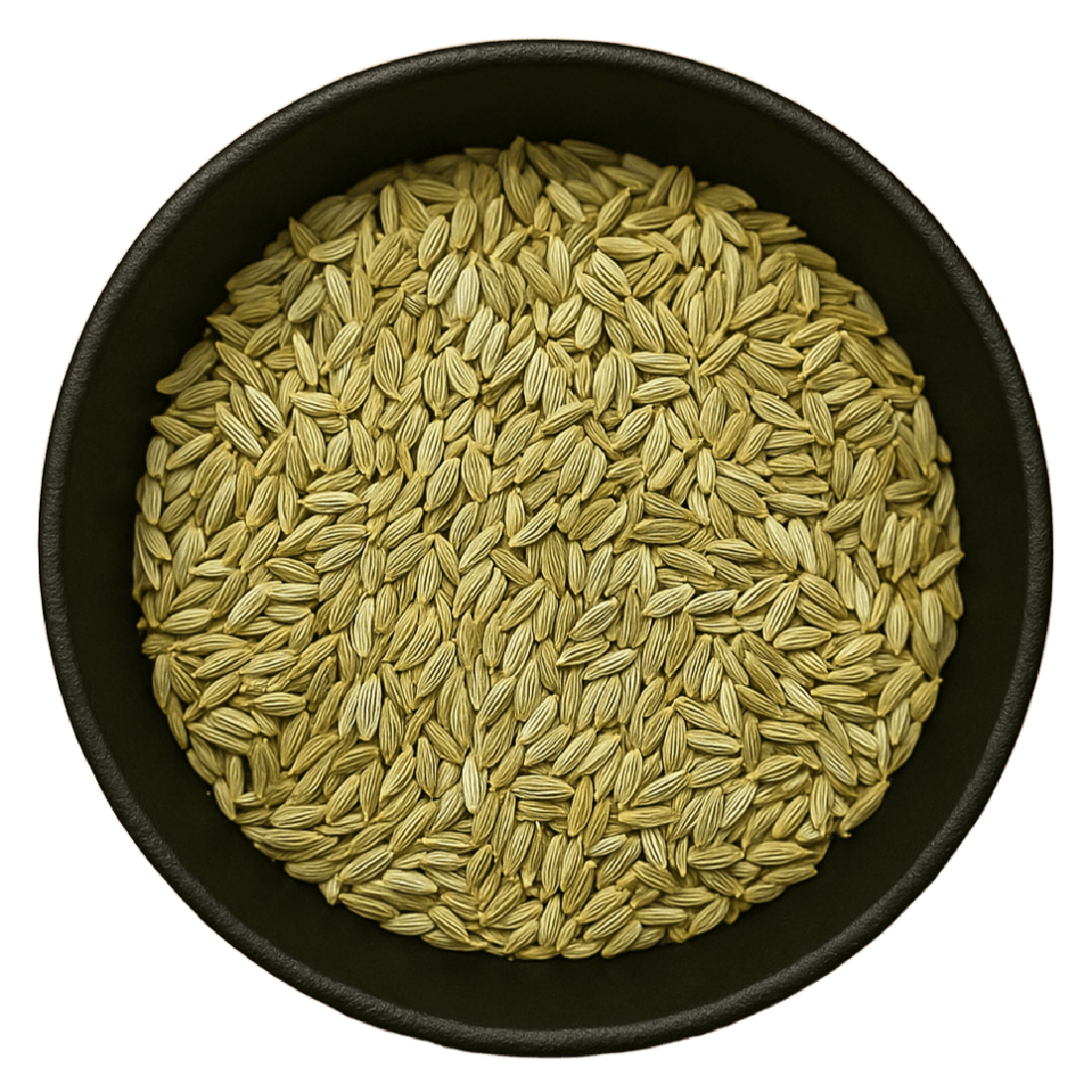 Fennel Seed Whole (Foeniculum Vulgare)
