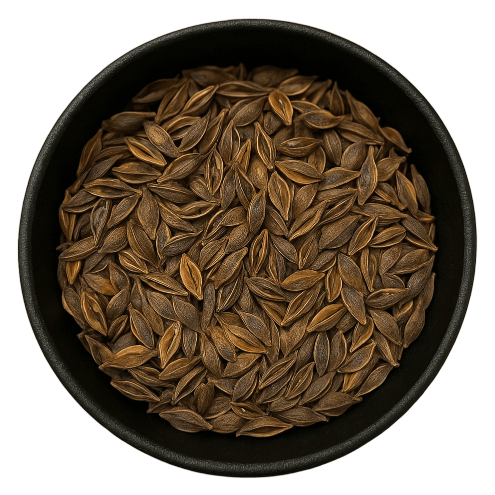 (Background Removed)