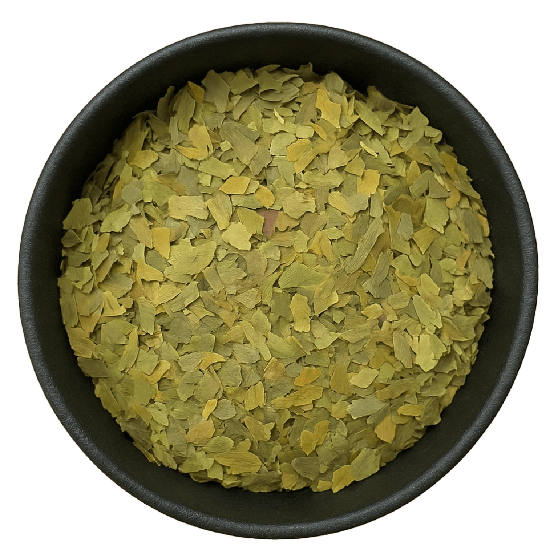 Ginkgo Leaf Cut (Ginkgo Biloba)