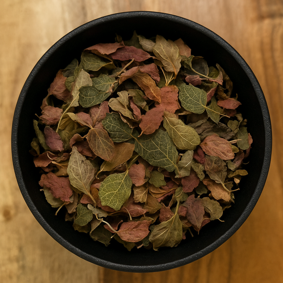 Jewel Orchid Whole (Anoectochilus Roxburghii)