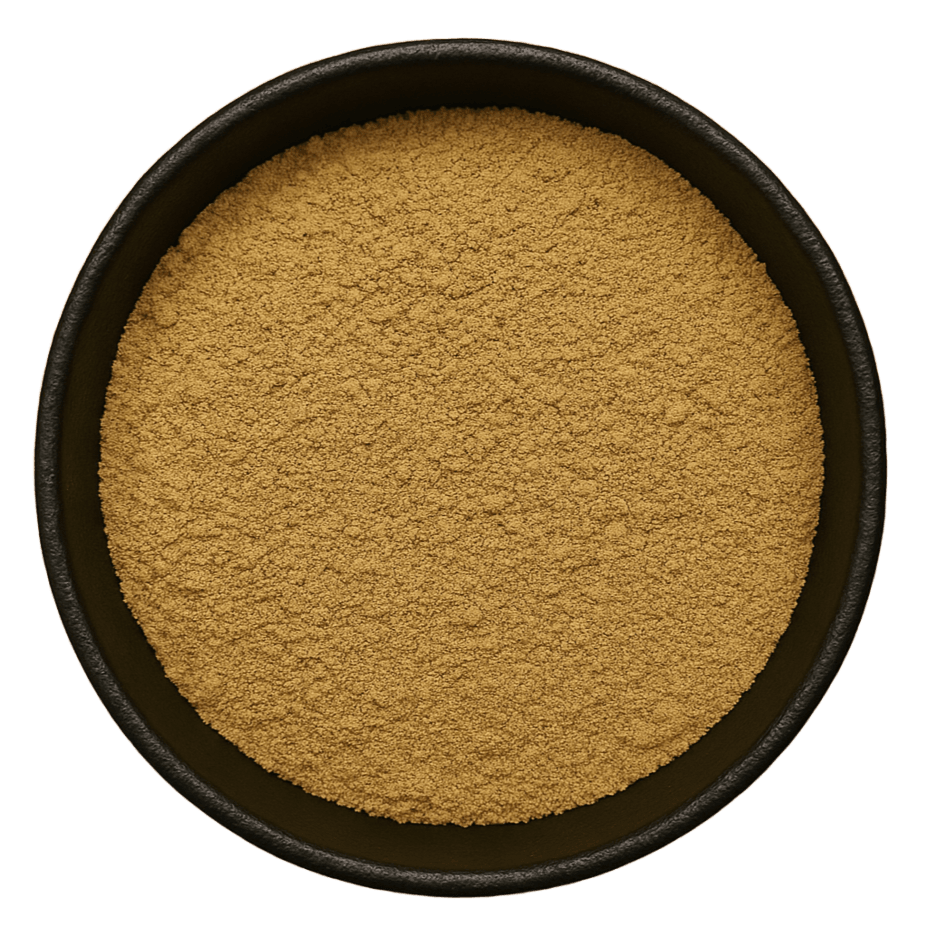 (Background Removed)