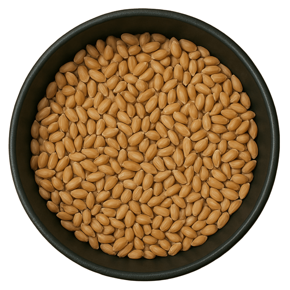 (Background Removed)