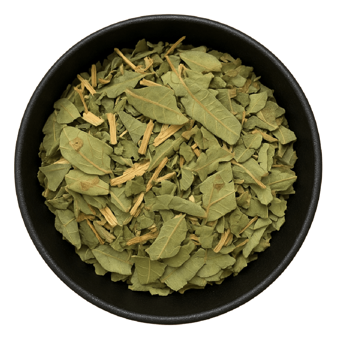 Loquat Leaf Cut (Eriobotrya Japonica)