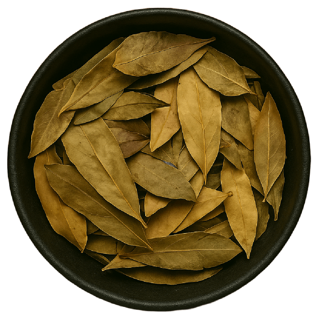 Mahonia Leaf Whole (Mahonia Bealei)