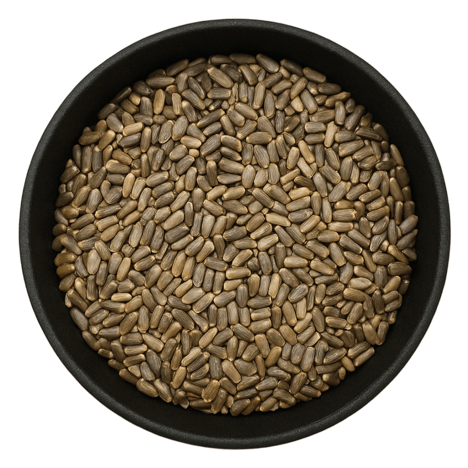 (Background Removed)