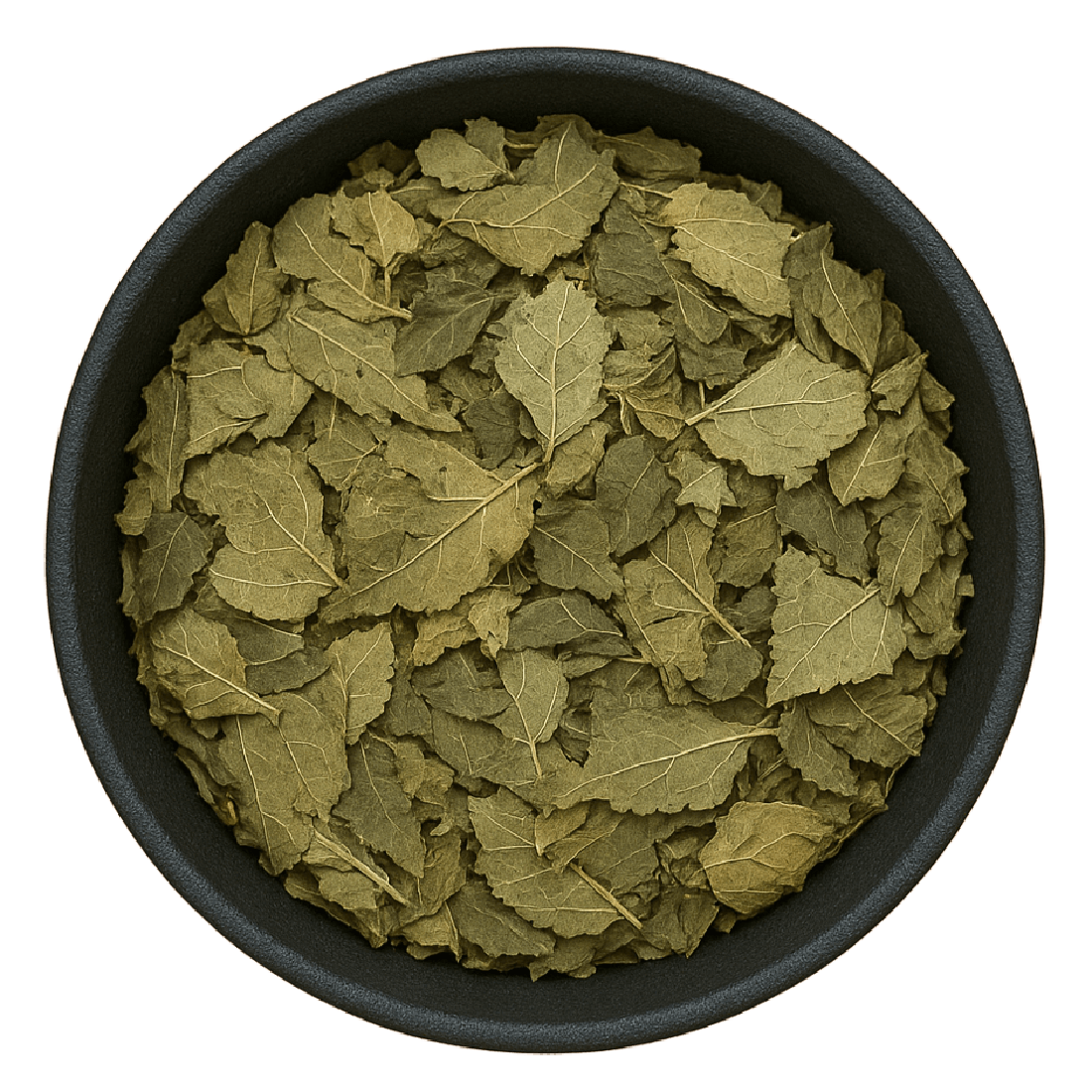 Mulberry Leaf Cut (Folium Mori)