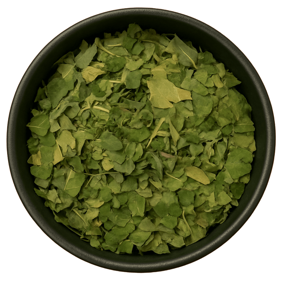 (Background Removed)